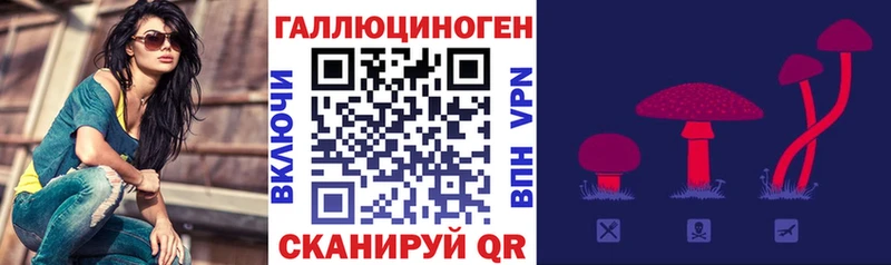 как найти закладки mega зеркало Галлюциногенные грибы MAGIC MUSHROOMS Железногорск